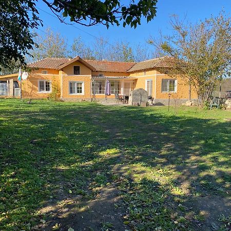 Ferienhaus Primorska Sunshine In Strandnaehe Shabla Ngoại thất bức ảnh